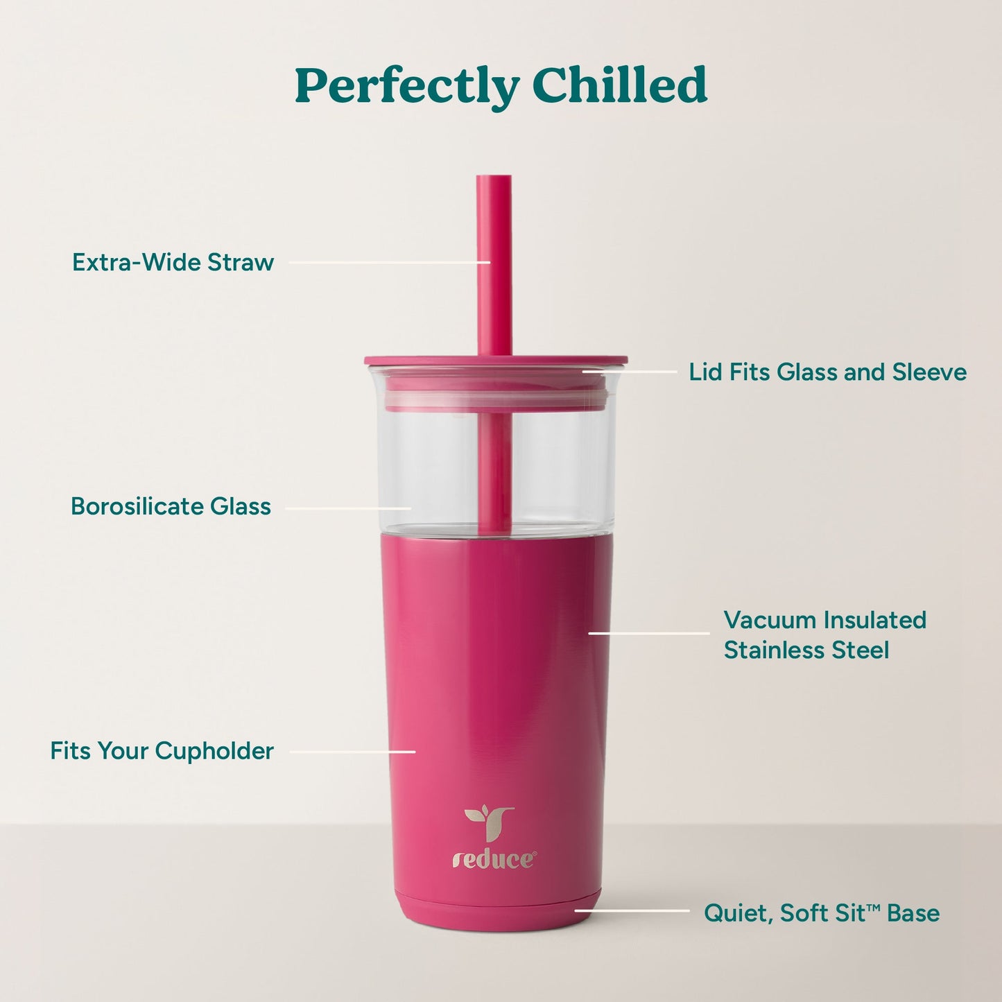 aspen-20-oz-e6 Aspen_Dragonfruit_PDP_Infographic2.jpg
