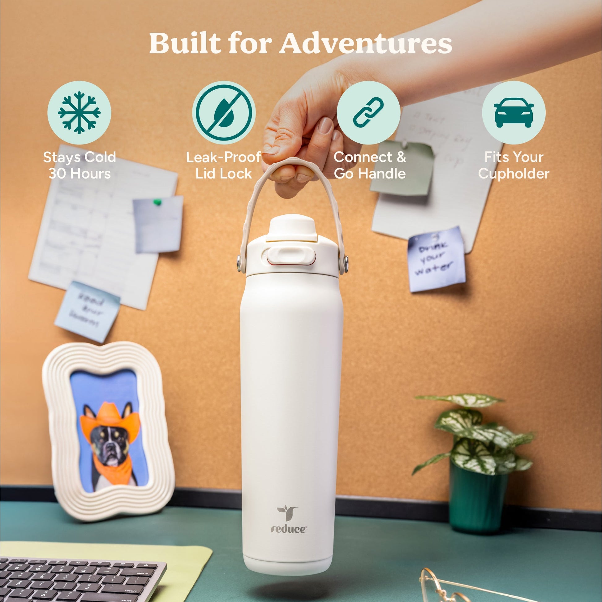 aura-26-oz-l4 Aura_26oz_Unbleached_PDP_Infographic_1.jpg