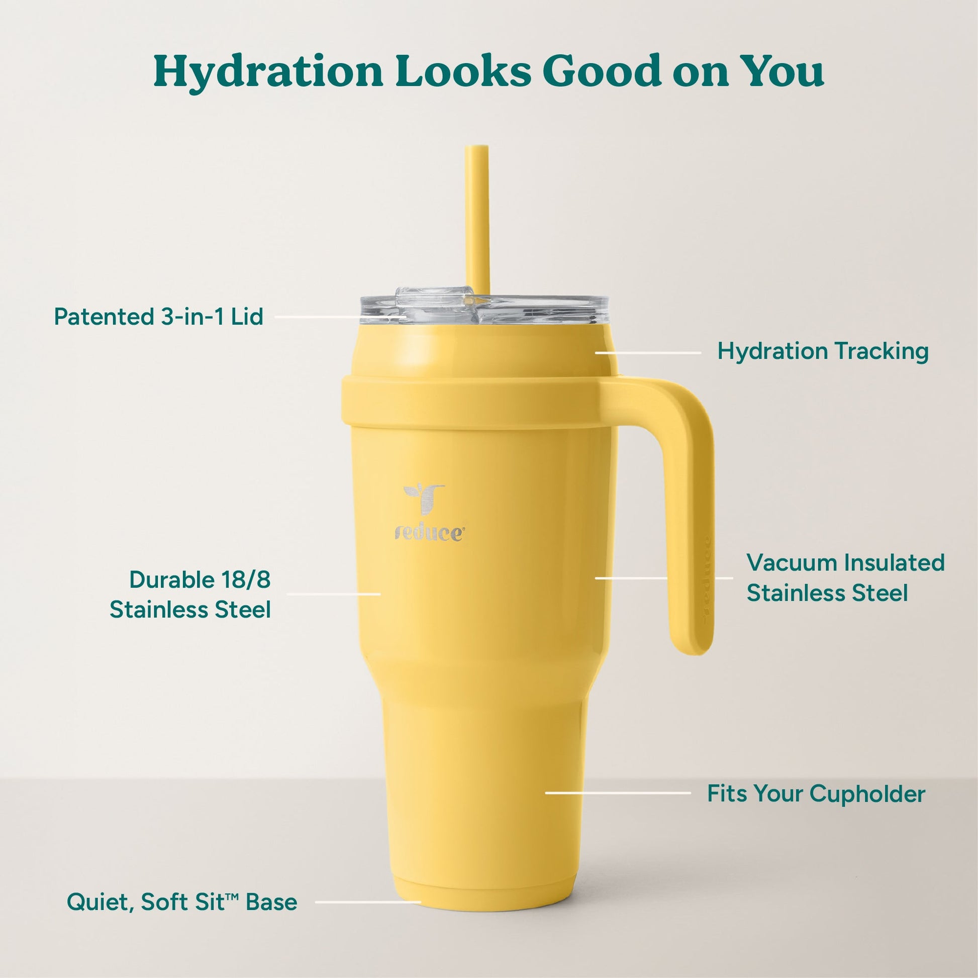 cold1-40-oz-f5 Cold1_40oz_Pineapple_Infographic_2.jpg